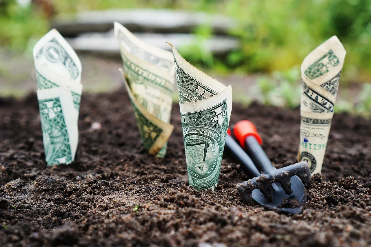 money, grow, interest, save, invest, shares, funds, the bank, finance, banknotes, financial, savings account, bank account, money, money, money, money, money