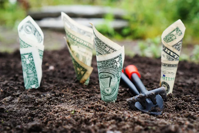 money, grow, interest, save, invest, shares, funds, the bank, finance, banknotes, financial, savings account, bank account, money, money, money, money, money. Så kartlägger du skugg-IT och oregistrerade SaaS-konton